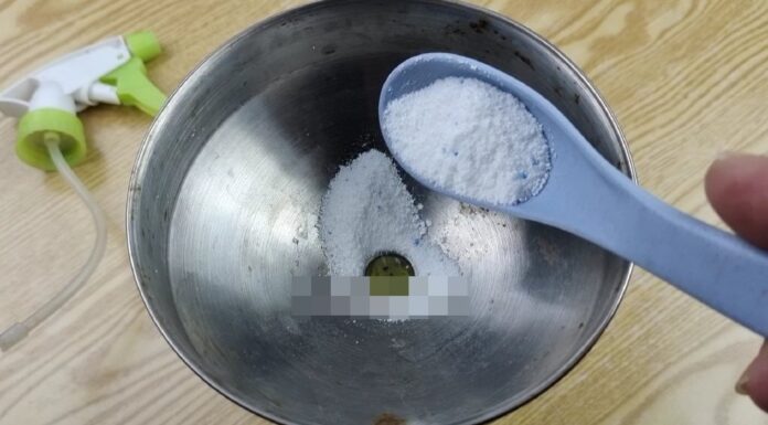 The Ultimate Guide to Cleaning Your Forgotten Range Hood: Like-New with a Single Cabbage Leaf