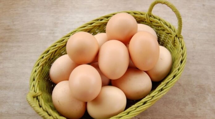 How to Store Eggs: Fridge or Countertop? I’ve Been Doing it Wrong All This Time