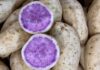 The Ultimate Superfood: Unveiling the Australian White Sweet Potato with a Vibrant Purple Interior