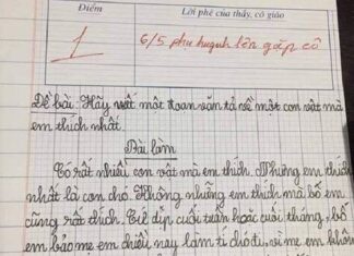 “A Young Writer’s Creative Mind: A Story of a Pet Description that Impressed the Teacher”