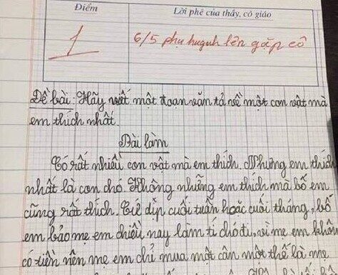 “A Young Writer’s Creative Mind: A Story of a Pet Description that Impressed the Teacher”