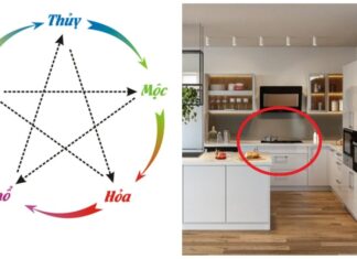 The Kitchen’s Dilemma: Which Way Lies Health and Happiness?