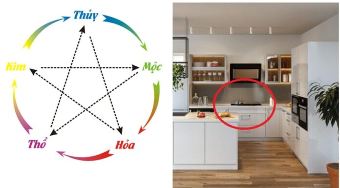 The Kitchen’s Dilemma: Which Way Lies Health and Happiness?
