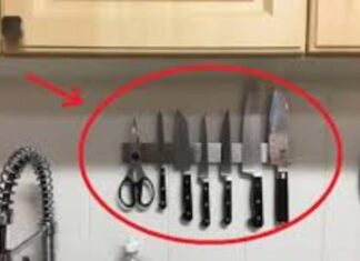 The Top Five Kitchen Items to Toss Out for a Wealthier Fortune