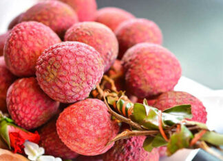 The Ultimate Guide to Choosing Sweet and Juicy Lychees: How to Pick the Best Fruit with a Thick Flesh and No Worm Infestation