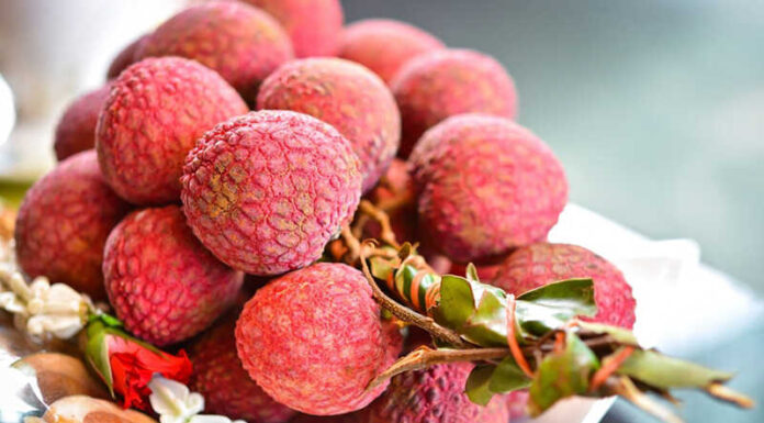 The Ultimate Guide to Choosing Sweet and Juicy Lychees: How to Pick the Best Fruit with a Thick Flesh and No Worm Infestation