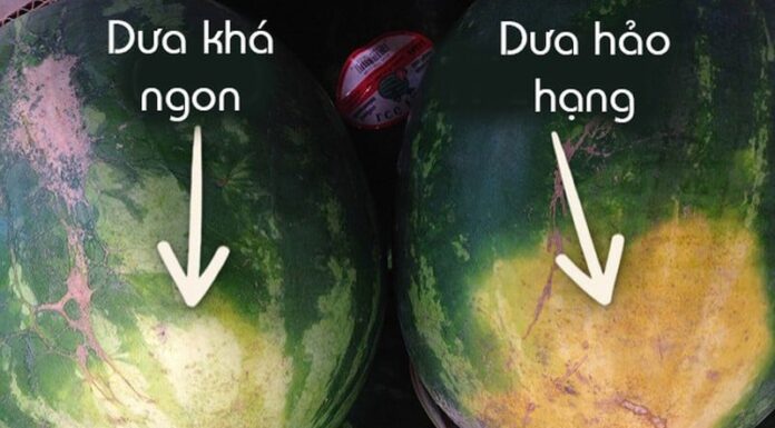 What Sound Should You Listen For When Thumping a Watermelon to Pick the Ripe One?