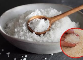 The Magic of Rice and Salt: A Simple Household Hack You Need to Know