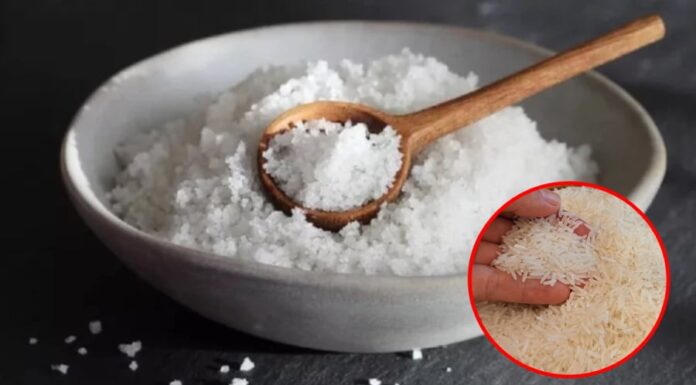 The Magic of Rice and Salt: A Simple Household Hack You Need to Know