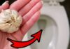 The Magic Clove: Unlocking the Power of a Single Garlic Clove in Your Toilet Bowl