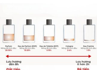 The Perfect Scent: Unlocking the Mystery of Perfume with 4 Essential Tips