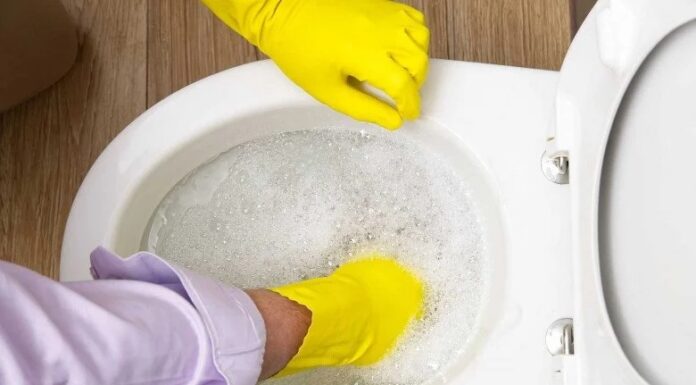 Should You Use Laundry Detergent to Scrub Your Toilet?