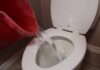 Unclog Your Toilet in an Instant With This Quick Fix
