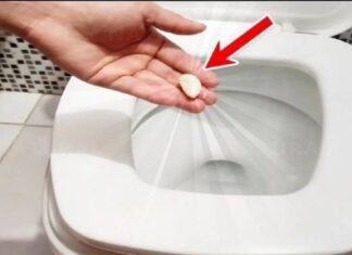 The Magic of Garlic: Unlocking the Power of a Single Clove for a Healthier Home