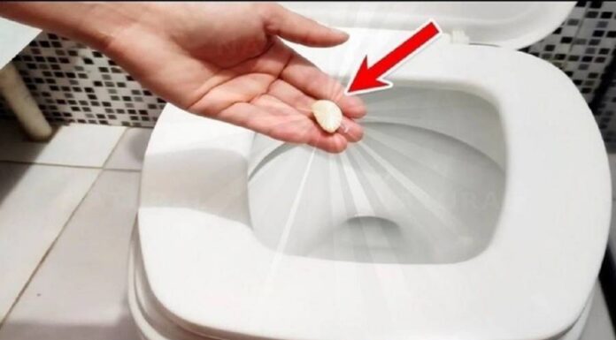 The Magic of Garlic: Unlocking the Power of a Single Clove for a Healthier Home
