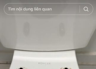 The Often Overlooked Spot When Cleaning Your Toilet: Up Close and Personal, Yet Neglected.