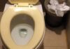 The Ultimate Guide to Restoring Your Toilet’s Glory: Say Goodbye to Stains and Odors