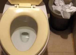 The Ultimate Guide to Restoring Your Toilet’s Glory: Say Goodbye to Stains and Odors