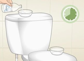 The Magic Potion for a Sparkling Throne: Pour Hot Vinegar Down Your Toilet and Be Amazed!