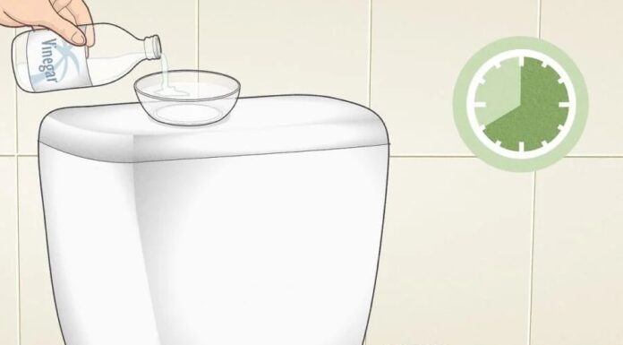 The Magic Potion for a Sparkling Throne: Pour Hot Vinegar Down Your Toilet and Be Amazed!