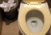 The Ultimate Guide to Removing Toilet Bowl Stains: A Sparkling Clean You’ll Wish You’d Known Sooner