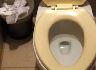 The Ultimate Guide to Removing Toilet Bowl Stains: A Sparkling Clean You’ll Wish You’d Known Sooner