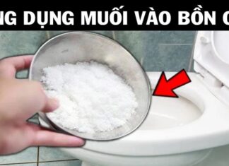 The Magic of a Glass of Salt Water in Your Bedroom: A Simple Trick with Surprising Results