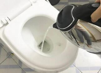 Unblocking a Toilet: Hot or Cold Water Flush?