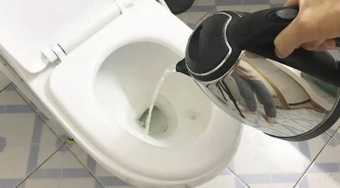 Unblocking a Toilet: Hot or Cold Water Flush?