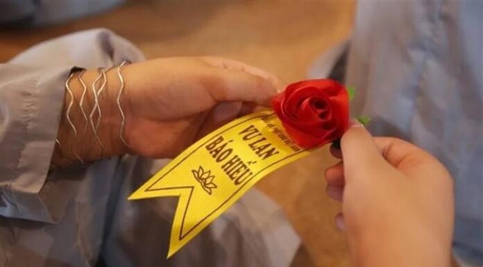 Why Are Pink Roses the Official Flower of the Vu Lan Festival?