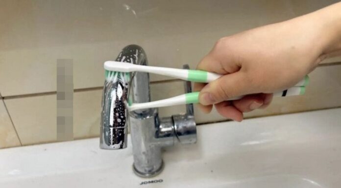 The Secret Power of Toothbrushes: Uniting Two for an Unexpected Wonder