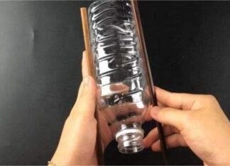 “The Magic Chopstick Trick: A Simple Yet Effective Pest Solution”