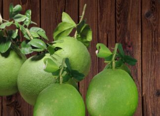 The Ultimate Guide to Selecting the Perfect Green-Skinned Pomelo: How to Pick the Tastiest, Juiciest, and Most Nutritious Fruit with a Bright Pink Flesh.