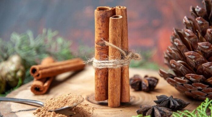 The Ancient Spice for Timeless Beauty: Unlocking the Secret to Eternal Youth and Radiance.