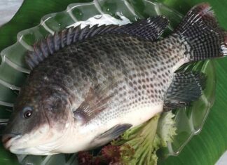 “The Humble Herring: A Nutritional Powerhouse Offering Omega-3 Rich Benefits for Just 20,000 VND per Kilo”