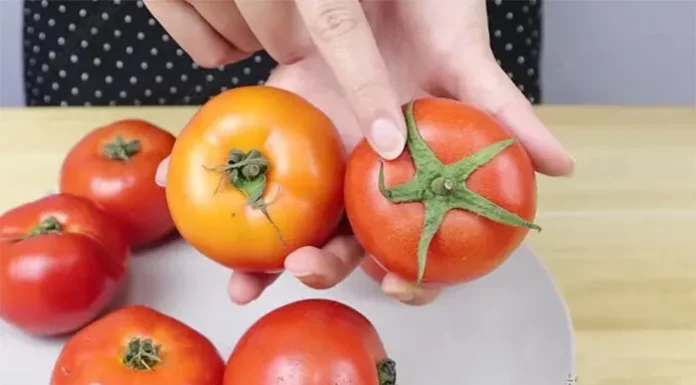 The Ultimate Guide to Identifying Naturally Ripe Tomatoes