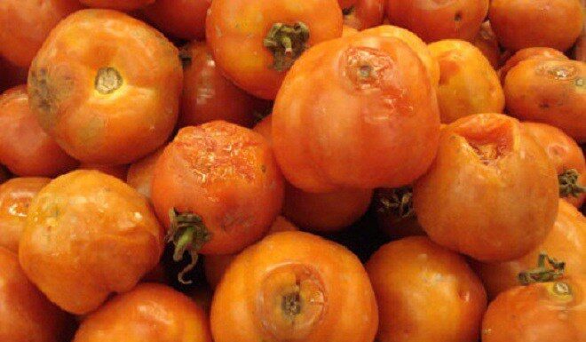 The Magic of Rotten Tomatoes: Unveiling the Surprising Benefits of a Foul Fruit