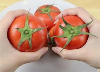 How to Tell if a Tomato is Ripe and Ready to Eat: A Natural Guide
