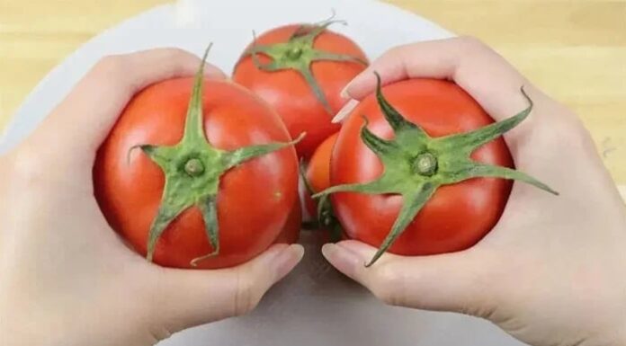 How to Tell if a Tomato is Ripe and Ready to Eat: A Natural Guide