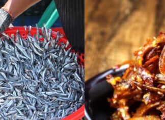 “The Super-Food Fish: Nature’s Omega-3 and Vitamin Powerhouse for Heart Health”