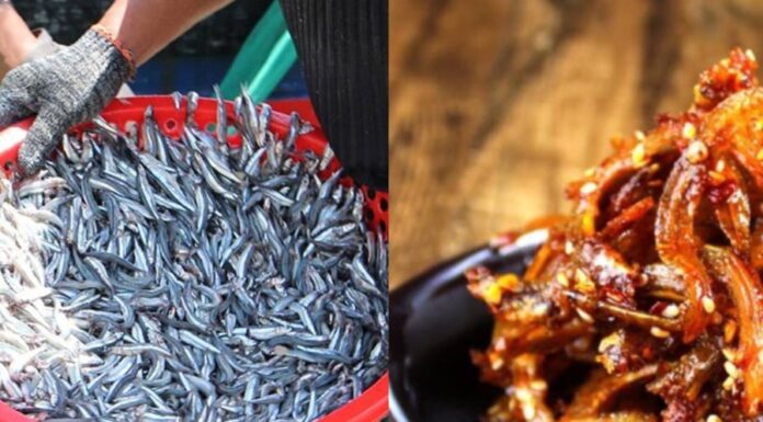 “The Super-Food Fish: Nature’s Omega-3 and Vitamin Powerhouse for Heart Health”