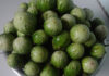 Bitter Melon – A Tasty “Exotic” Treat from the Central Highlands