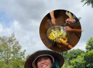 The Most Compelling Family Feast: “The Beauty Queen of Vietnam and Her Humble Feast”