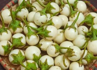 “The Secret to Perfectly Pickled Cauliflower: A Step-by-Step Guide to Achieving Bright White, Crisp, and Support-Free Results”