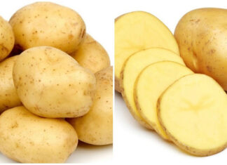 The Ultimate Guide to Identifying 12 Potato Varieties in Vietnam