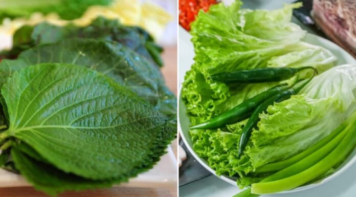 The Ultimate Guide to Authentic Korean BBQ Sides: Veggie Edition