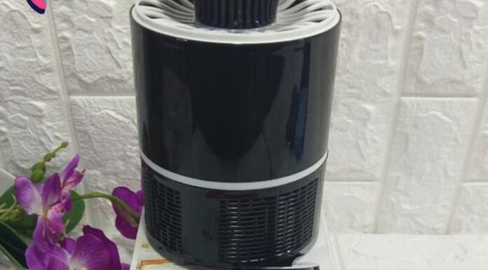 The Ultimate Guide to Repelling Mosquitoes and Three-striped Crickets: A Family’s Defense