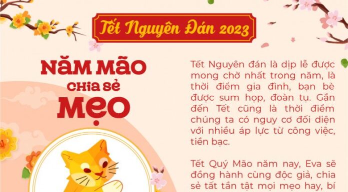 The Ultimate Guide to Storing Fried Spring Rolls: A Tasty Treat for the Lunar New Year