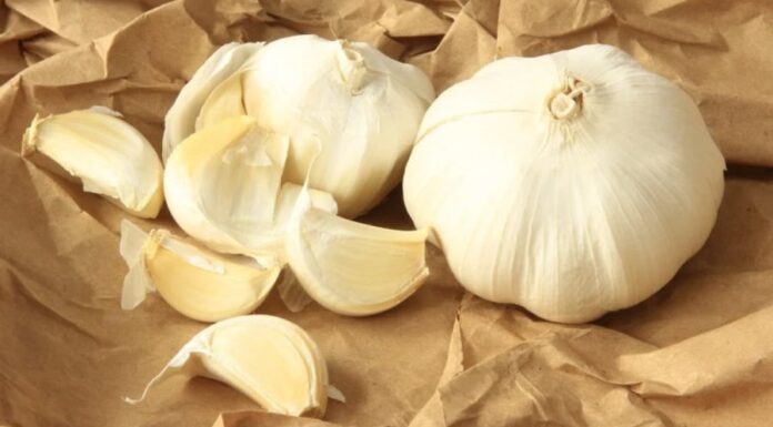 The Ultimate Guide to Keeping Your Veggies Fresher for Longer: A Busy Person’s Hack for Delicious Produce.