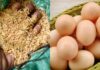The Ancient Art of Egg Preservation: How Our Ancestors Kept Eggs Fresh for Months Without Refrigeration.